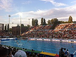 Study in Hungary for international students 250px Vaterpolo Hungary Vs Italy Semifinal Game2