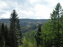 Study in Germany 250px Wald 0326